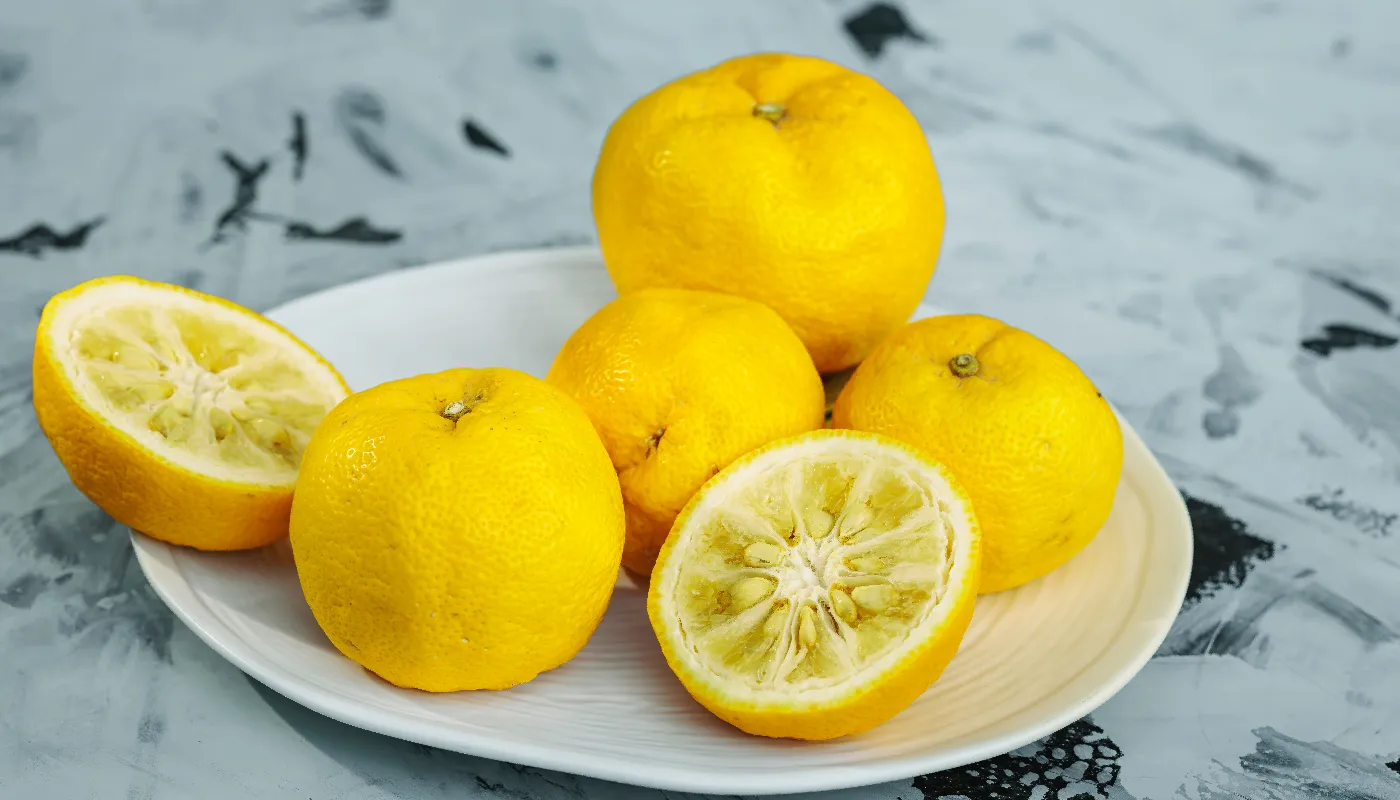 https://www.guels-wohngefluester.janpress.de/media/FvUQw1bW7tfTo6V0LhMBIRJNXGpckOAiYE3xSDl5Z8ueP9Hjys.webp