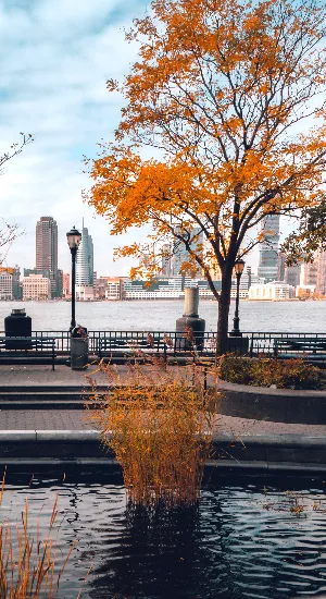 You FALL in Love? Das sind deine New Yorker Autumn Interior-Trends!