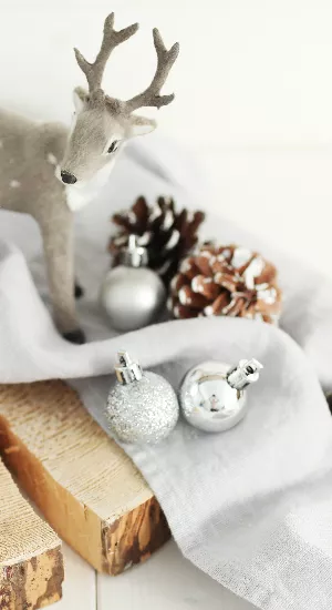 Handgemachte Winterdeko: Mit diesen DIYs wird’s gemütlich!