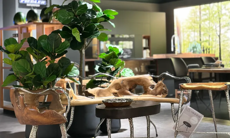 Elegante Holzstühle mit purer Natürlichkeit