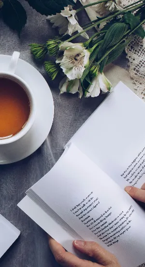 Book Lover aufgepasst: Das sind die Buchtipps für den Winter!